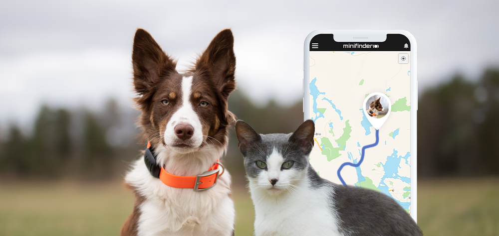 4 tips to get the most out of your Dog and Cat GPS