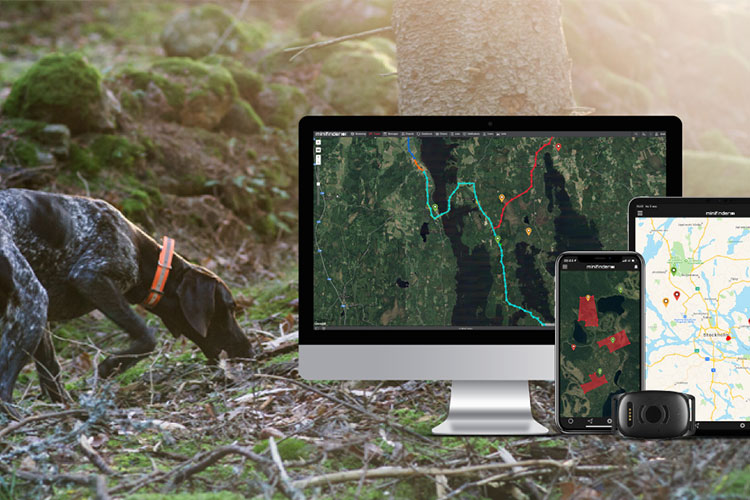 Track your hunting dog with Atto Pro