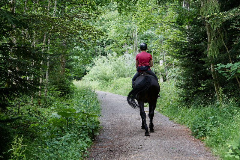 Safety on outdoor horse riding