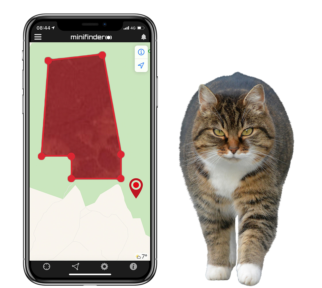 Spor katten din ved hjelp av GPS-teknologi