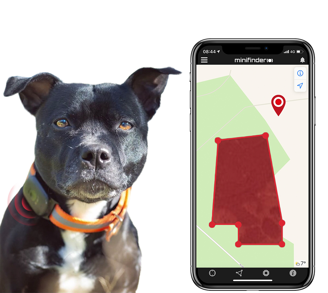 Hundebeskyttet med GPS-hundesøker