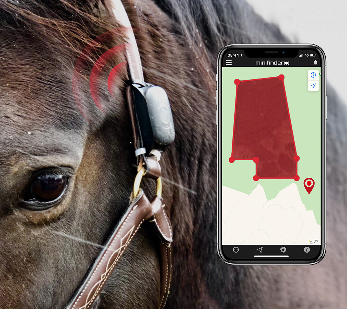 Hest med GPS for sporing